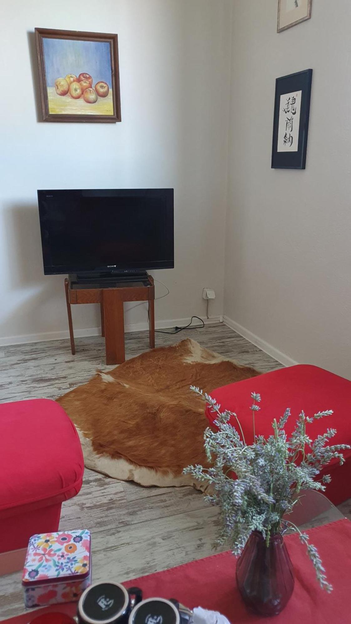 Art Home Prijedor Værelse billede